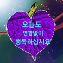 🌳 구찌뽕 효능 🎁 이미지