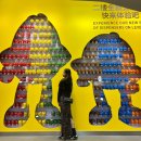 중국 상해여행 코스 기념품 선물 난징동루 상해쇼핑리스트 m&amp;m‘s