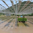 가나태양광발전소 이미지