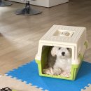 꼬망스펫 이미지