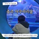 충주체육관 화장실(2층) | 충주 아쿠아리움 무료 입장팁 주차 정보 실내 아이랑 관람 후기