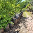 햇살아래캠핑장 이미지