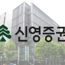 신영 인사이트 이미지