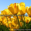 복산공인중개사사무소 이미지