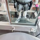 일상vlog) 나랑 놀아줘서 곰아워 팅구들아 😍