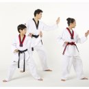 청룡태권도체육관 이미지