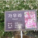 법인가현