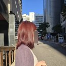 강남역 미용실 아르결 예준 디자이너분에게 받은 레드염색