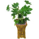 정화목욕탕 이미지