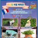 쥬니멀 이미지