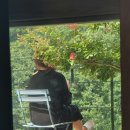 지리산 계곡 노아펜션 이미지