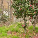 반여초등학교 이미지