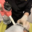 메디언스 | 충주 프리미엄 두피관리 맛집 뷰티메디언스 솔직후기