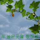 능원3리 이미지