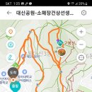 대신공원 숲길 이미지