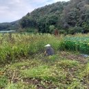 신풍면사무소 이미지