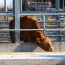 성북동3 이미지