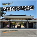천지연칠보공예기념품 | 경주 아이와 가볼만한곳 국립경주박물관 신라역사관 산책 후기