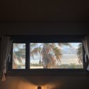 호텔홀라인 평대 이미지