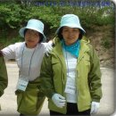 금서초등학교 이미지