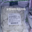 비비디 바비디 부