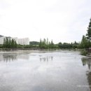 금관대로1368번길 이미지