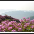 ＜철쭉축제＞ 소백산5/29~6/2일 철쭉제, 이미지