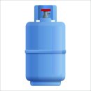 진도엘피지 이미지