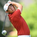 리코(rico) 이미지