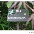 성남시립식물원 이미지