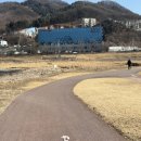 멋내는 애견 이미지