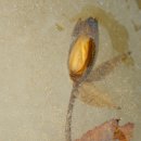 사계여행 이미지