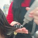 판교 서현역 미용실 아윤채 클리닉 브린헤어 야탑점 라일실장님