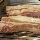 제주도야지 이미지