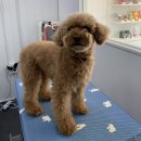 덕이미장원 이미지