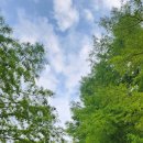 순천만국가정원 이미지