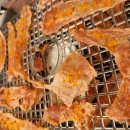 바둑이연구소 이미지