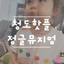 풍각반점 이미지