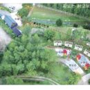 나는숲이다 이미지