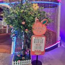 도도리파크(실내) 이미지