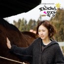 둥둥목장 이미지