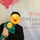 예스동물병원 | 송파 고은빛 제왕절개 출산후기 및 꿀팁(26.03 ver)