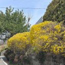 KT&G상상마당 논산 아트캠핑빌리지 | [캠핑일지] 3월 봄 먹으러 간 캠핑 논산 '아트빌리지' 하루 먹방