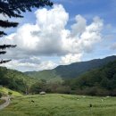 매표소 화장실 | (25.10.19 방문) 추정리 메밀밭 🌱 솔직 방문 후기 /주차🅿️/매표소/토종꿀젤라또 🐝🍯/화장실