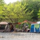 엄소리오토캠핑장 | 엄소리오토캠핑장 직접 다녀온 솔직 후기