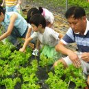 에스케이농장 이미지