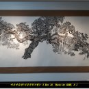 군립청송야송미술관 이미지