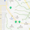 멕시칸치킨진평점 이미지