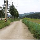 장흥 2리 이미지