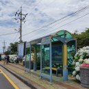 안덕면사무소 앞 이미지